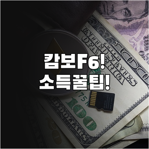 캄보디아 결혼비자 F6 받기, 소득 ..