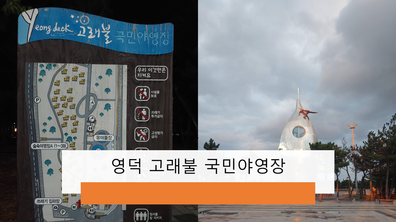 영덕 고래불 국민야영장