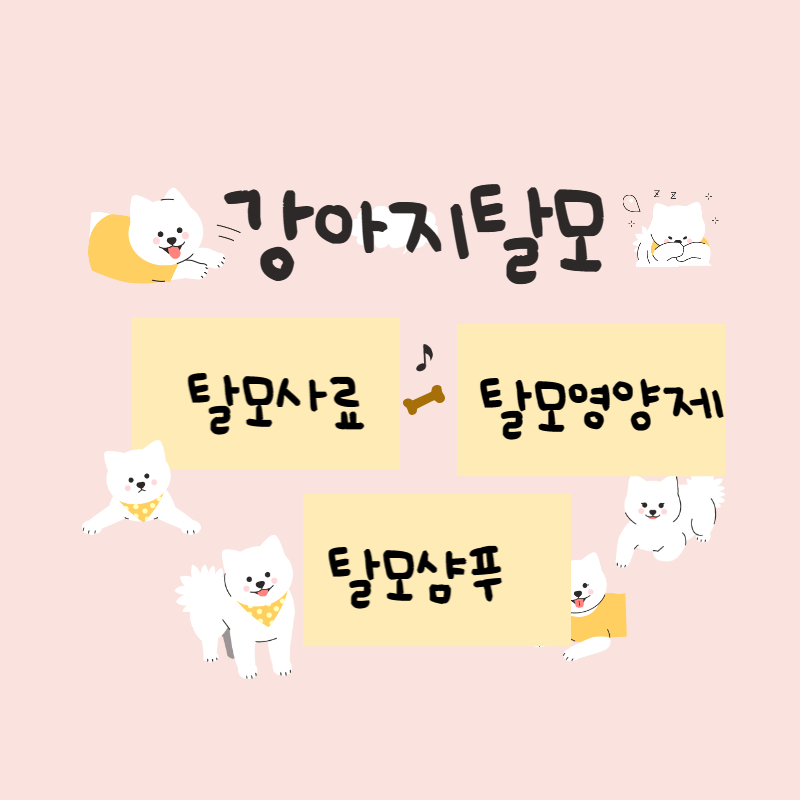 강아지탈모에 좋은것이 뭐가있을까