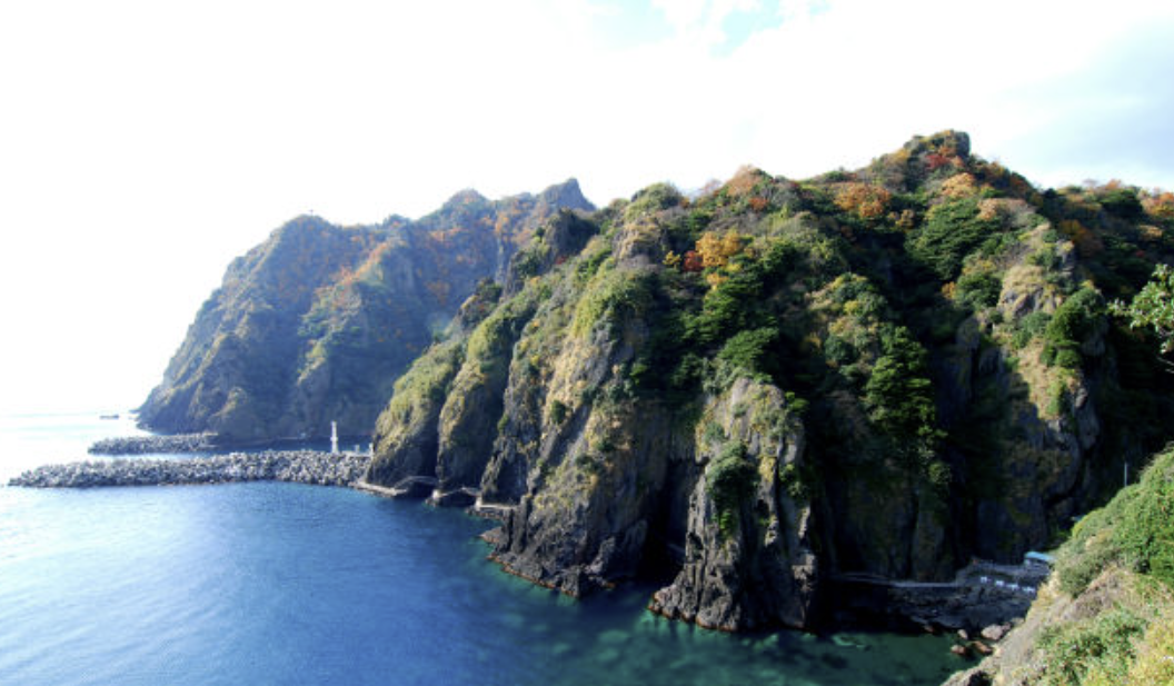 울릉도 숙소 배편 날씨 패키지 여행 맛집 정보