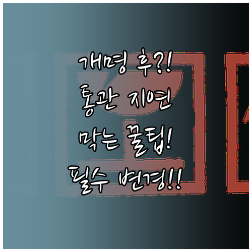 개명 후 통관 지연 막는 개인통관고유..