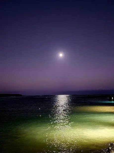 2026년-3월-축제- 양양-낙산-달빛-축제