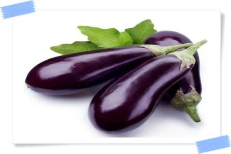 가지 효능 혈압 당뇨 관리 도움 정보_2