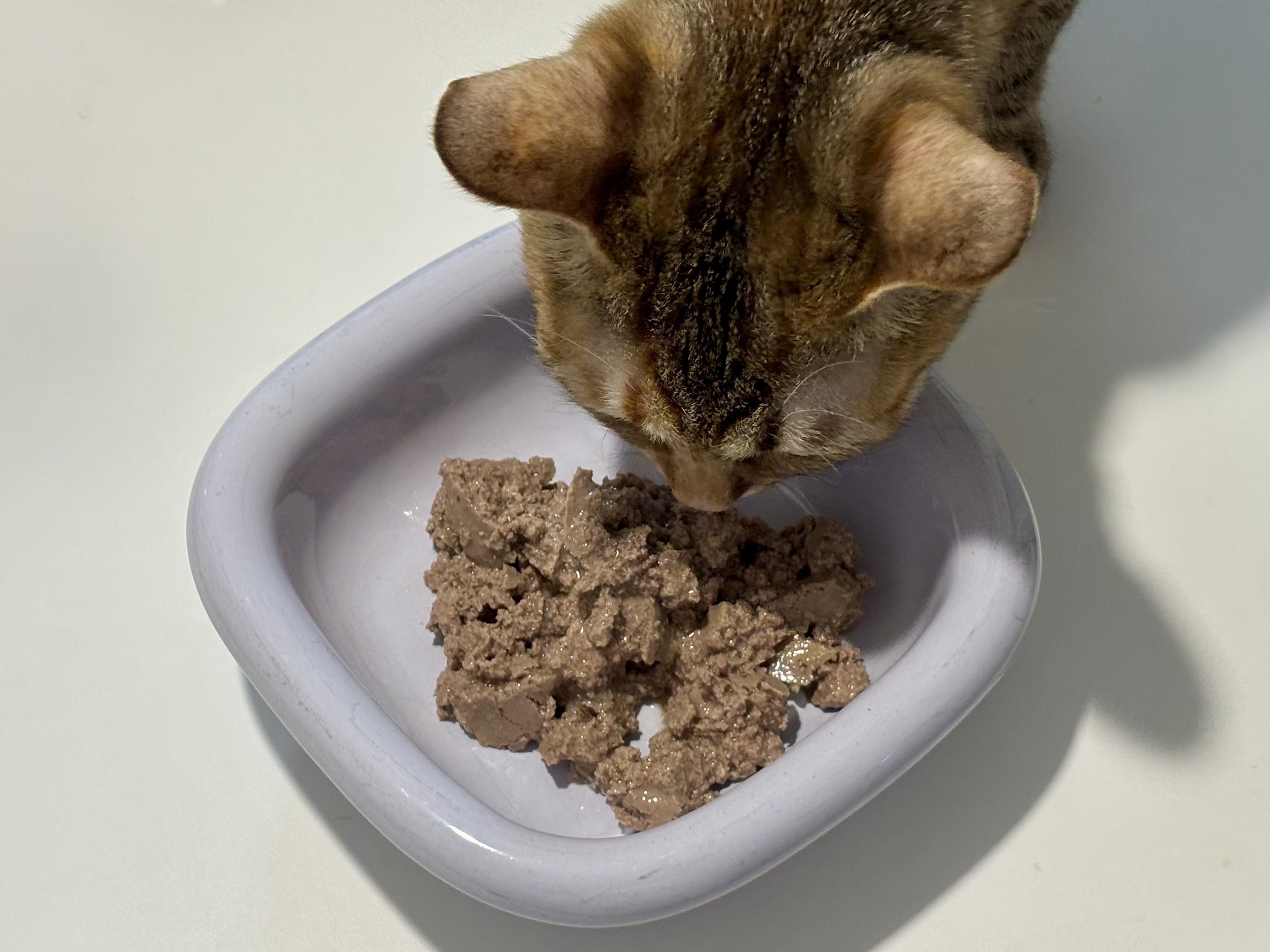 Feline Natural 치킨 &amp; 램 습식 파우치