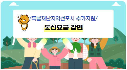 특별 재난지역 선포시 추가지원