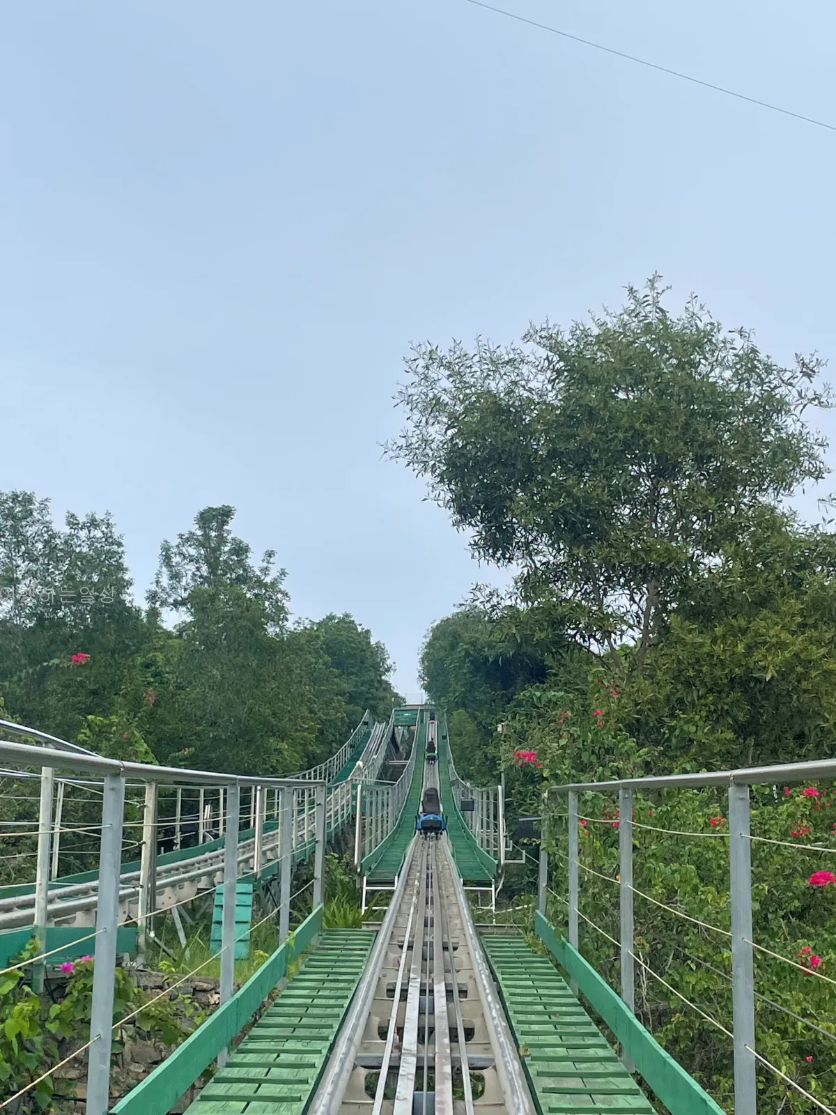 나트랑-가족여행-빈원더스-놀이공원-알파인코스터-후기-및-즐길거리-추천