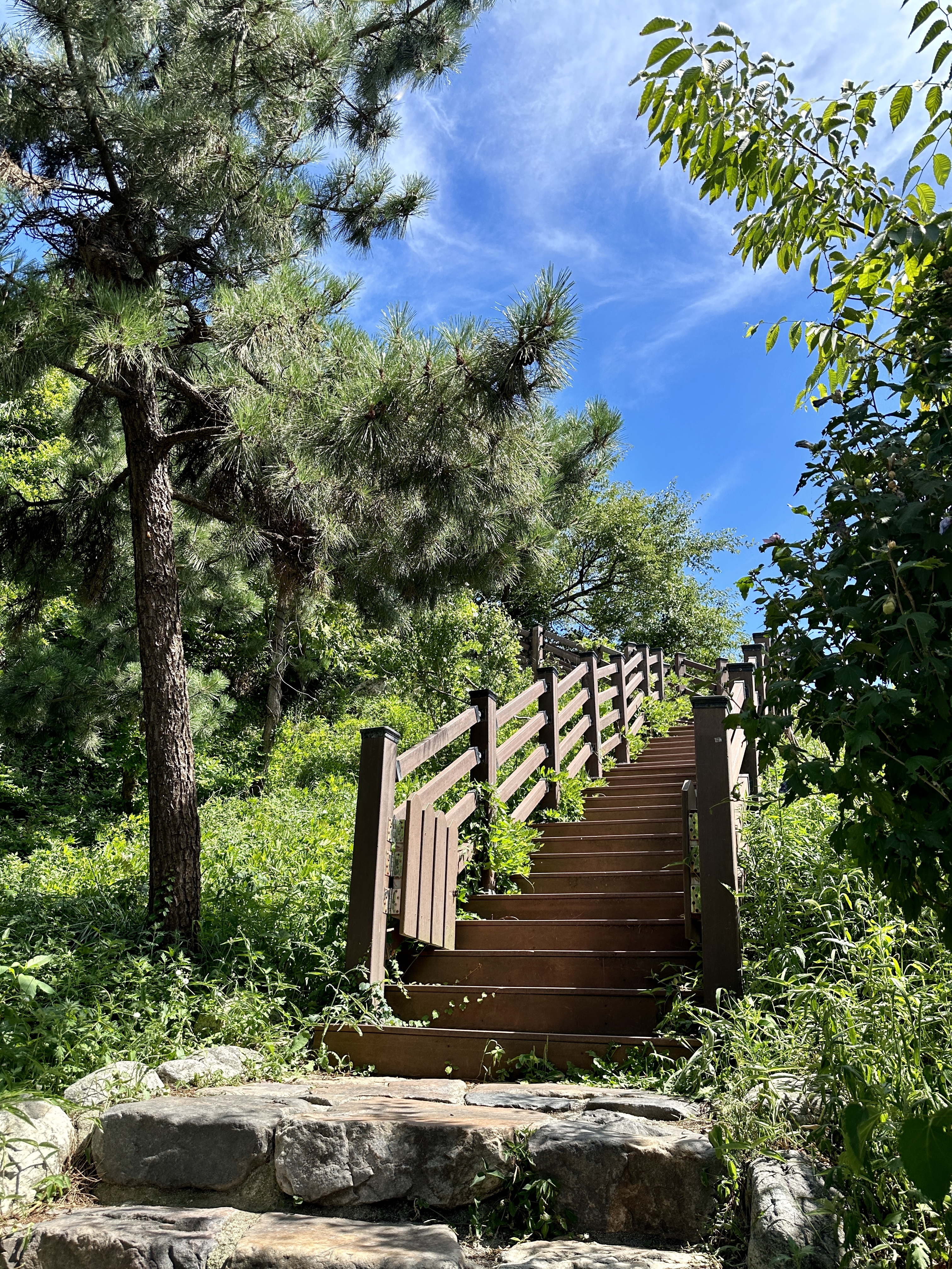 영금정 올라가는길
