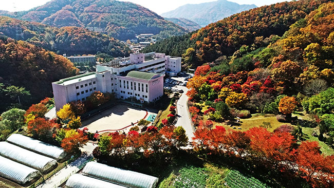 가을 캠핑