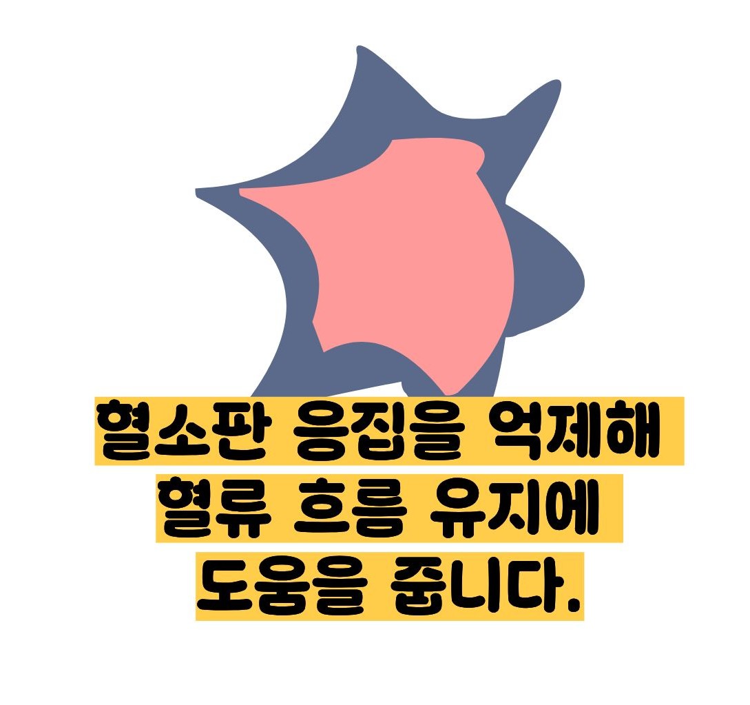 비타민e의 효능