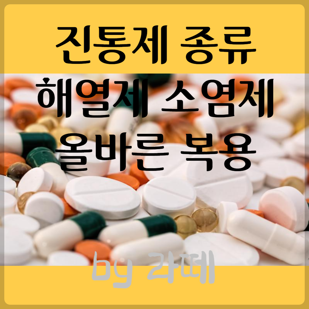 진통제 종류 해열제 소염제 통증별 올바른 복용 어린이 임산부 진통제 복용