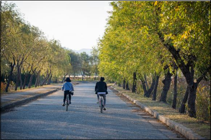 서울-따릉이-부산은뭐지-전국공공자전거지도-교통비-아끼는-꿀팁-안내-생활운동-다이어트
