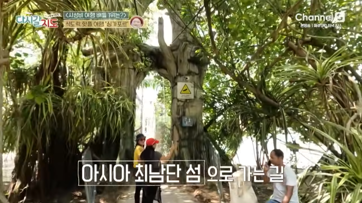 싱가포르 맛집 추천, 식도락 핫플 여행기 - 다시갈지도 95회