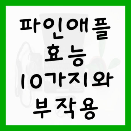파인애플-효능-10가지-및-부작용-대표사진
