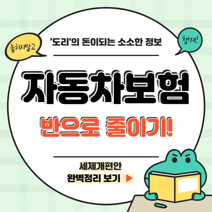 자동차 보험 비교