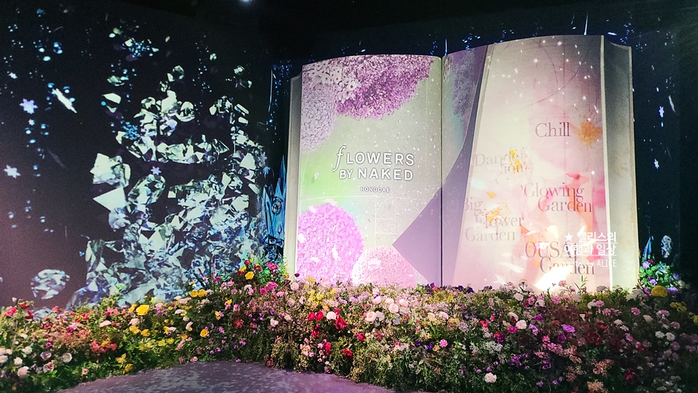 플라워바이네이키드 홍대 놀거리 입장료 23% 할인예매방법, 즐기는 꿀팁 네가지