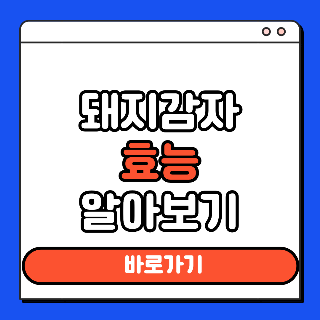 돼지감자효능