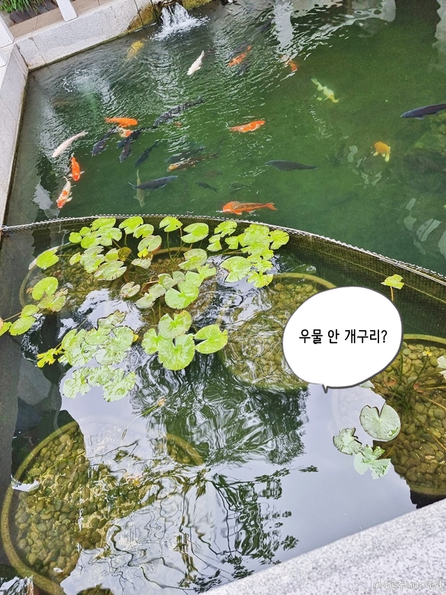 직장인 워킹맘 회사 이직 후기