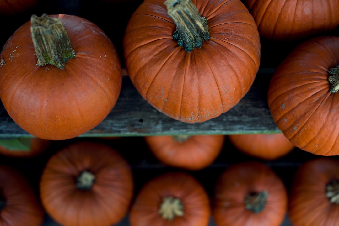 Seasonal Items
