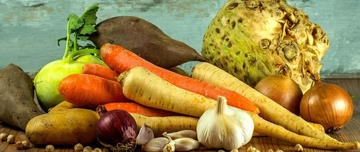 반려동물 자격증 창업 취업