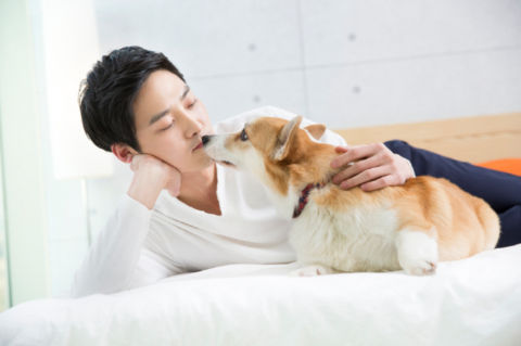 반려동물 등록