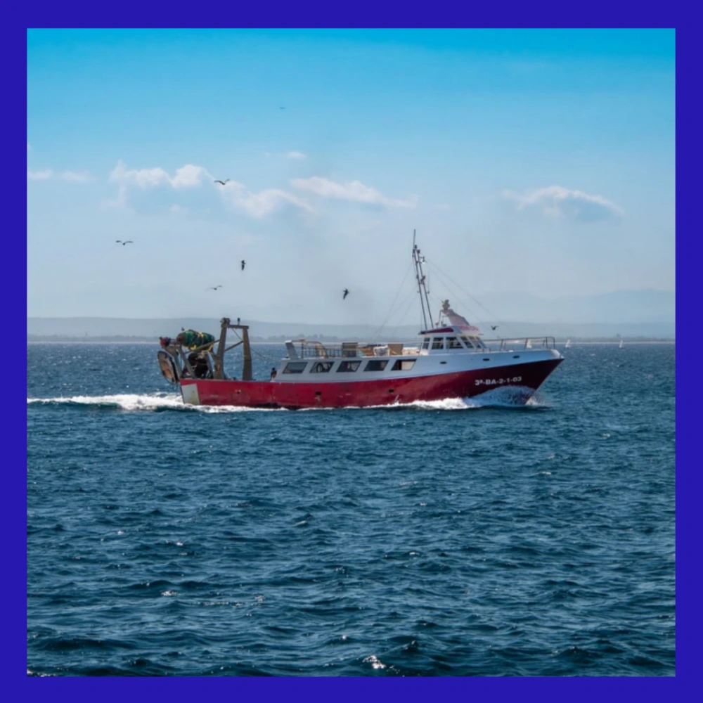 서귀포-어선-전복