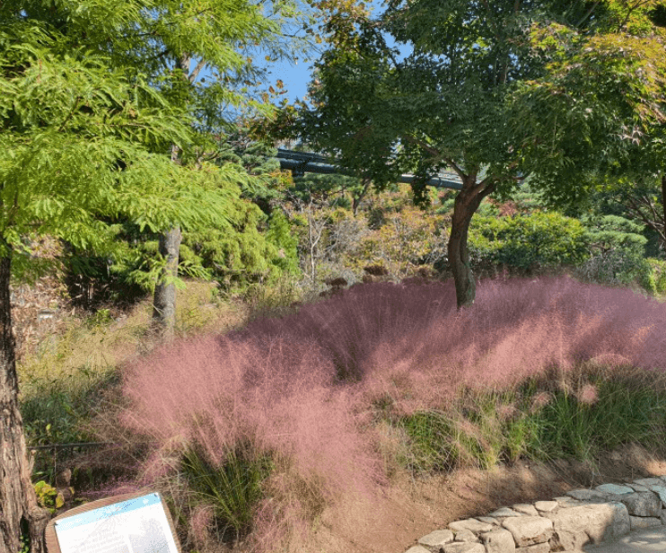 단풍축제 화담숲
