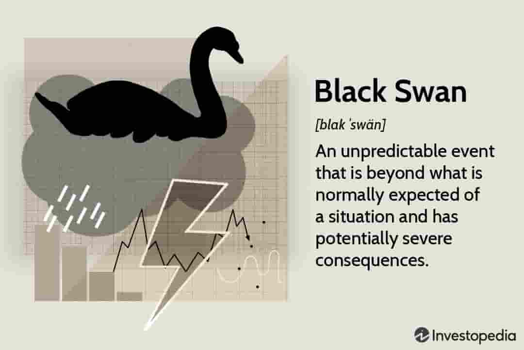하락하는 주가 그래프 위로 날아오르는 블랙 스완의 실루엣이 그려진 이미지로, 예기치 못한 금융 시장의 충격과 불확실성을 상징함