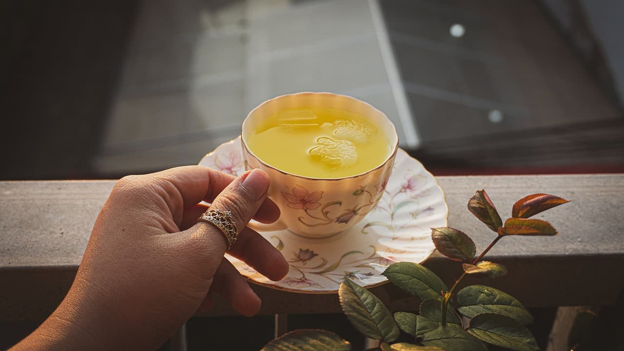 히비스커스차 카페인없는 차