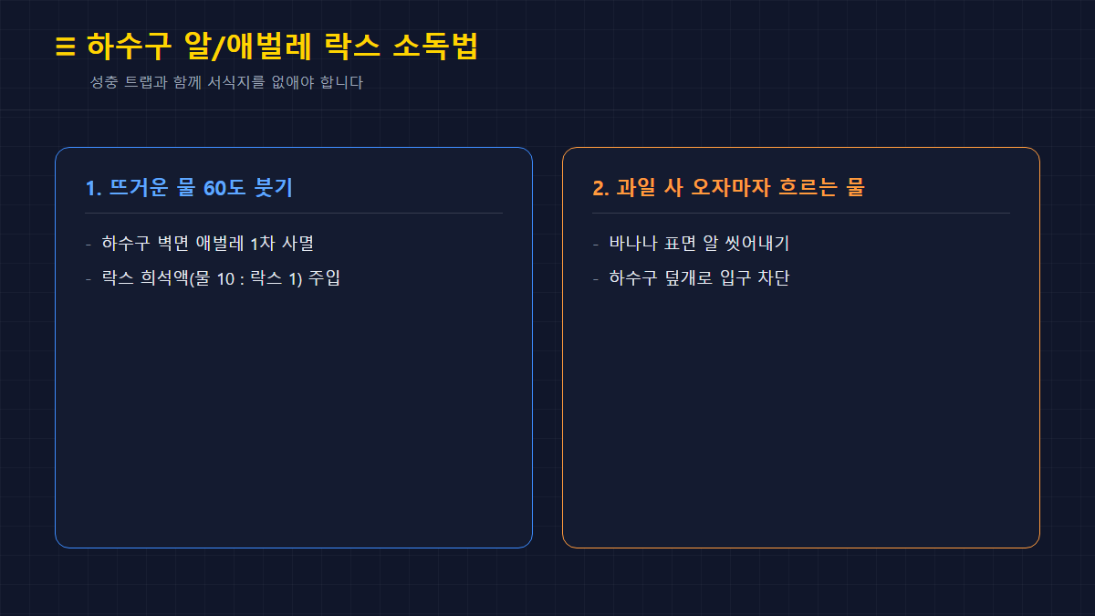 하수구 알 애벌레 락스 소독법 카드뉴스