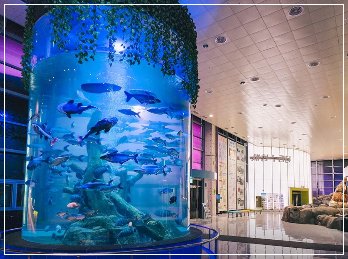 곡성 가볼만한곳 베스트10 섬진강 어류생태관