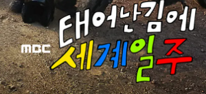 태어난김에 세계일주 이미지