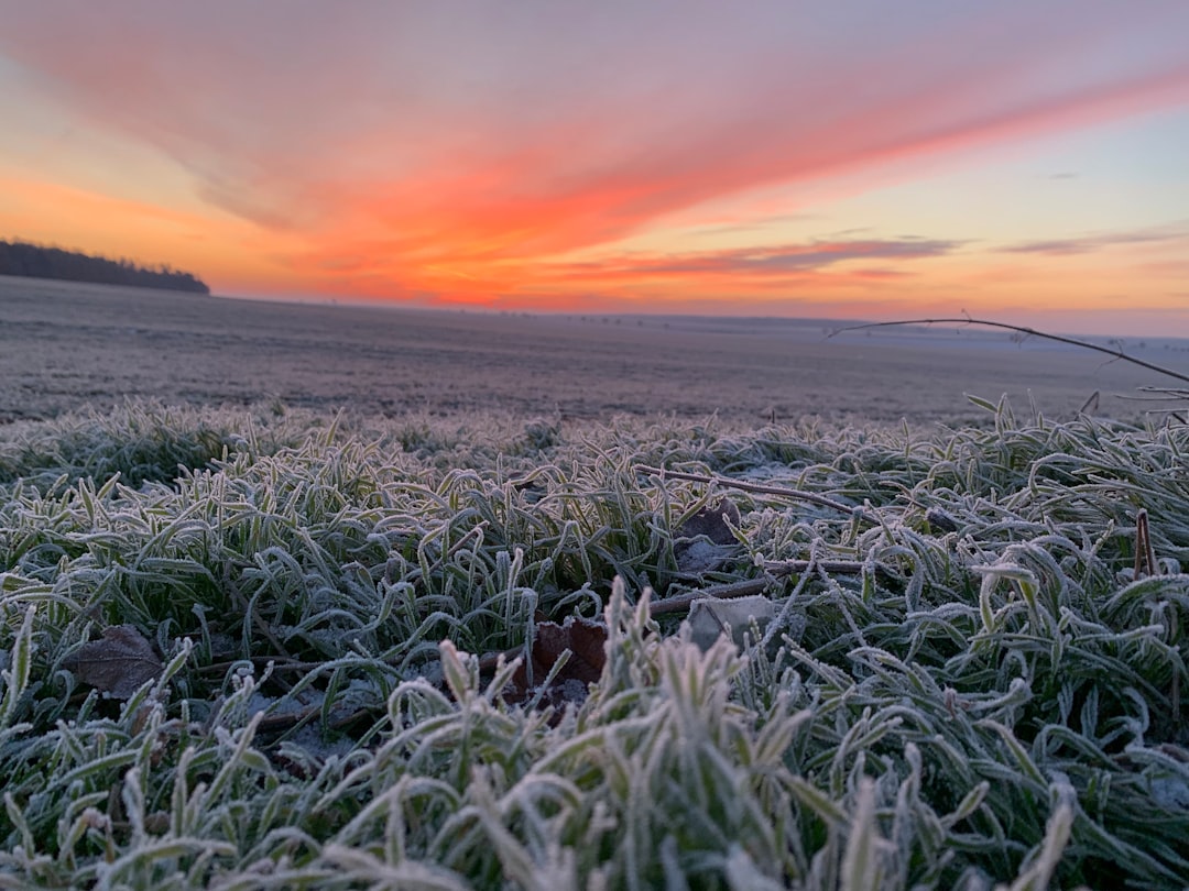 Frost.