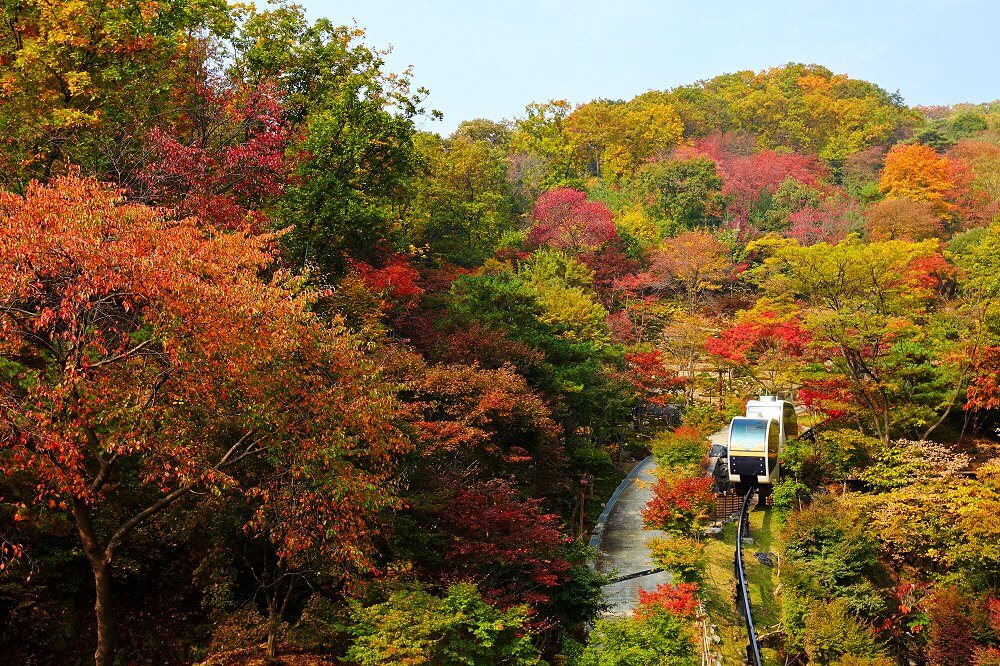 단풍명소 화담숲 온라인 예약 입장료