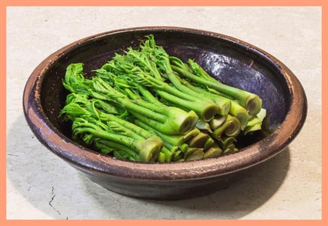 4월 제철 두릅, 몸에 좋은 성분과 손쉬운 요리법 총정리