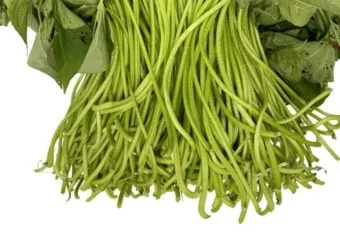 고구마순 볶음 레시피 꿀팁 레시피_3