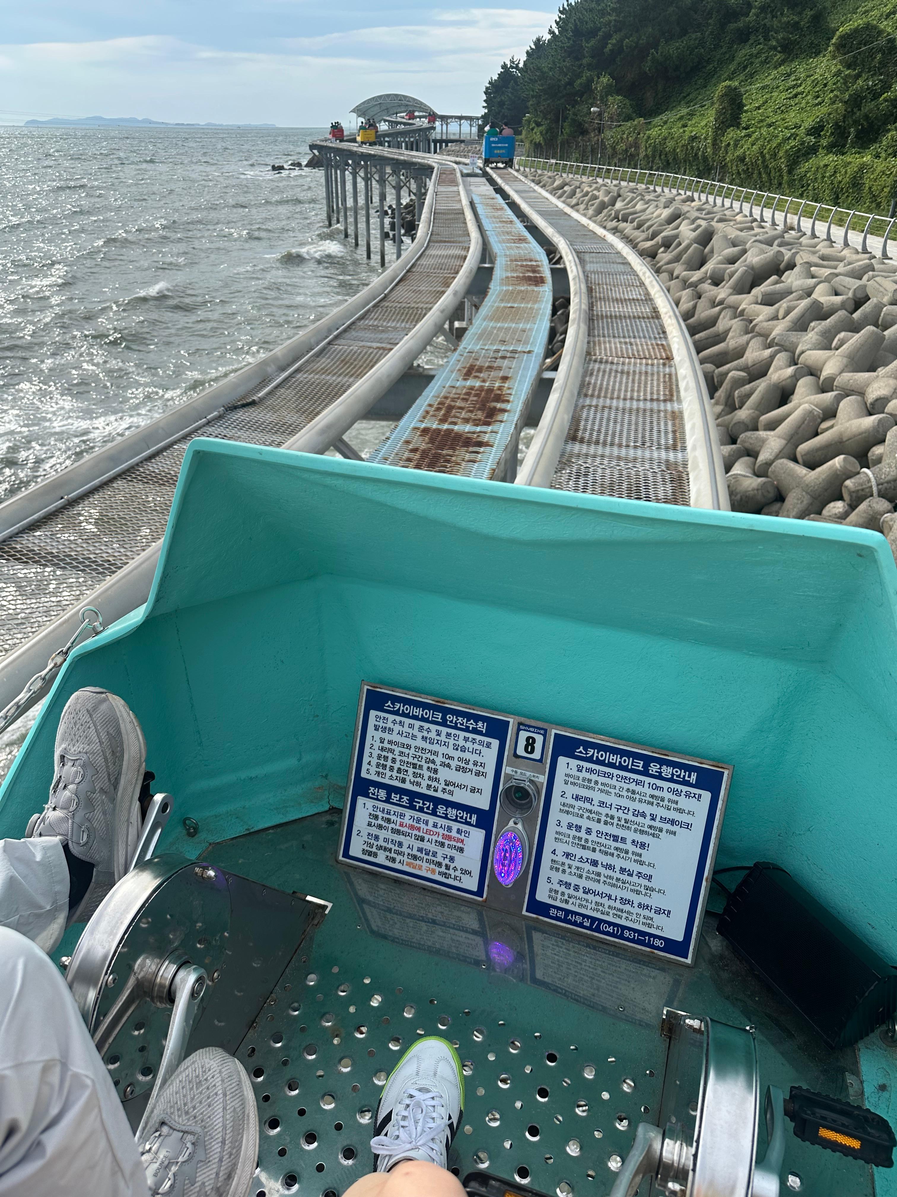 Travel Review 2: Boryeong, Daecheon, and Muchangpo in Chungnam, Korea (Family Travel Destination Recommendation, Muchangpo Beache Palace, Mudflat Experience, Sky Bike Price &amp; Duration, Daecheon Restaurants &amp; Lunch Spots, Daecheon Beach, Stunning Sunset, Closed Sanghwawon, Daecheon Port Fish Market, Useong Fisheries, Suyeonho Fisheries, Muchangpo Beache Palace, Ocean View, Lodging with Kitchen Facilities, Muchangpo Pension)