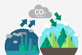 탄소 관련 사진