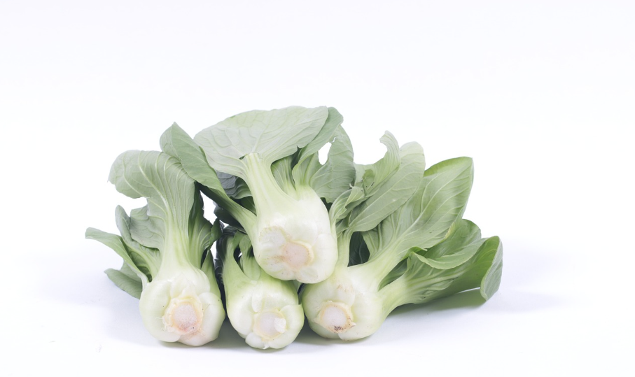 내장 지방 감량에 효과적인 식품