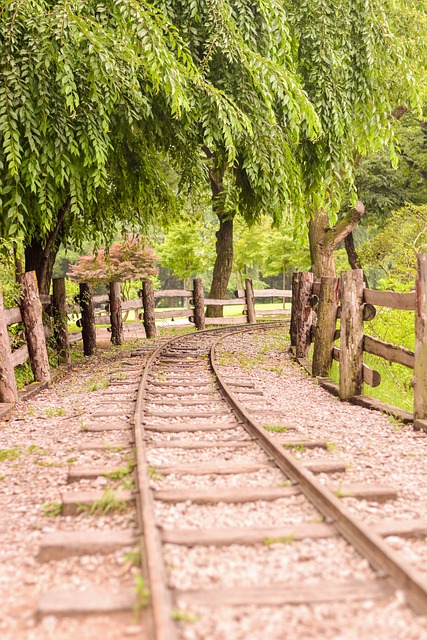 2024 년 남이섬 국내여행 /나미나라 공화국
