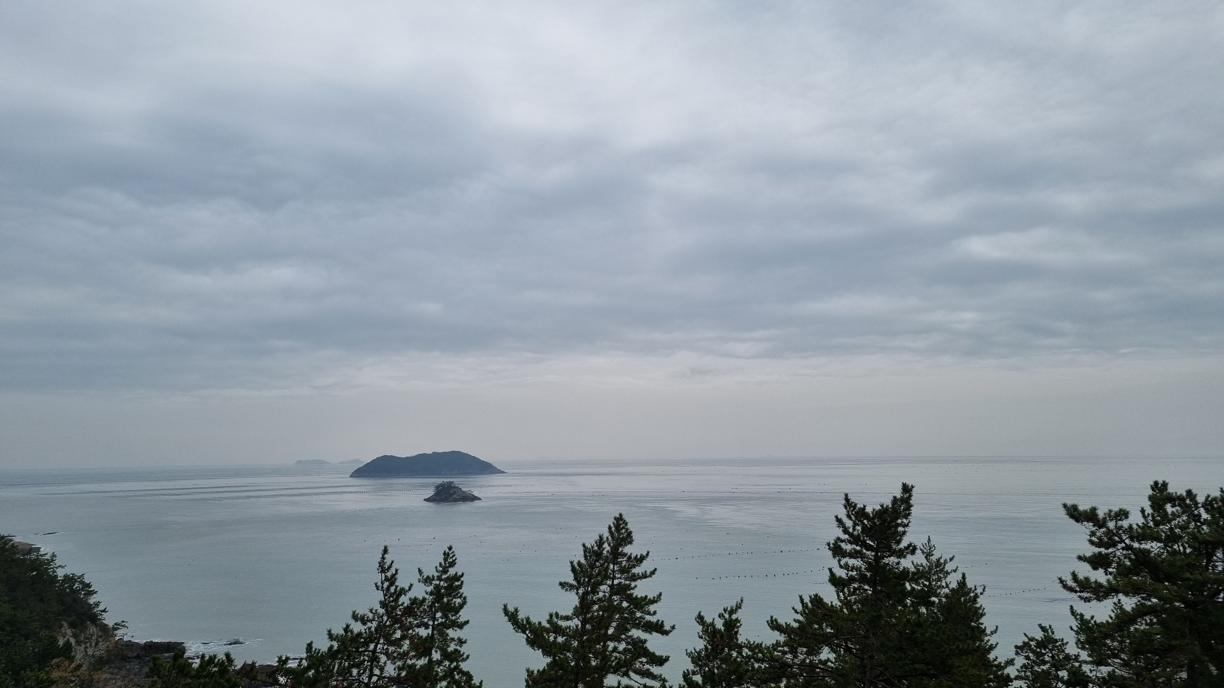 다도해해상공원이 한눈에 들어오는 진도자연휴양림