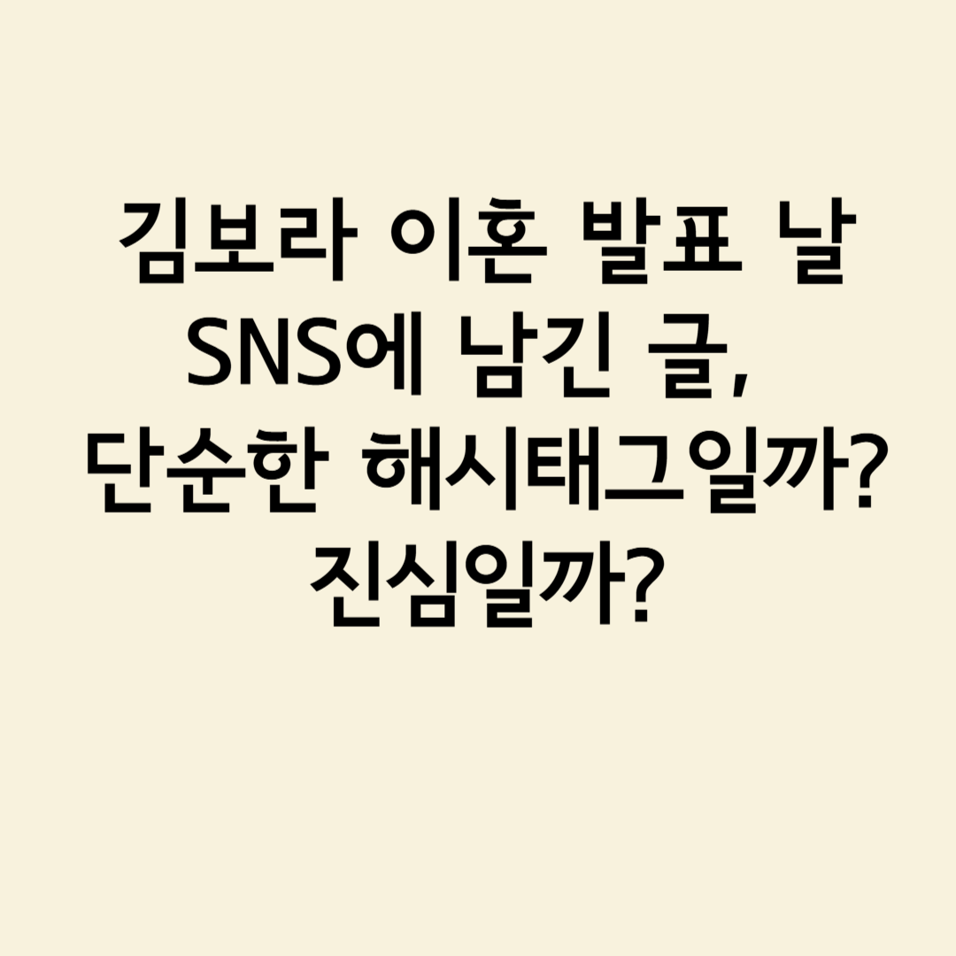 김보라 이혼 발표