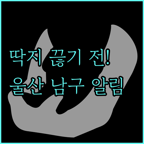 울산 남구 주정차 단속 전 이동 안내..