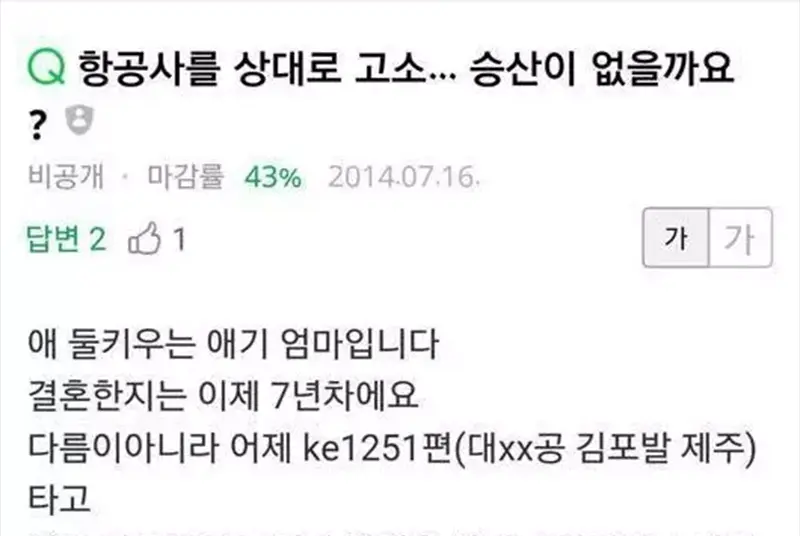항공사를 상대로 고소... 승산이 없을까요? - 지식iN