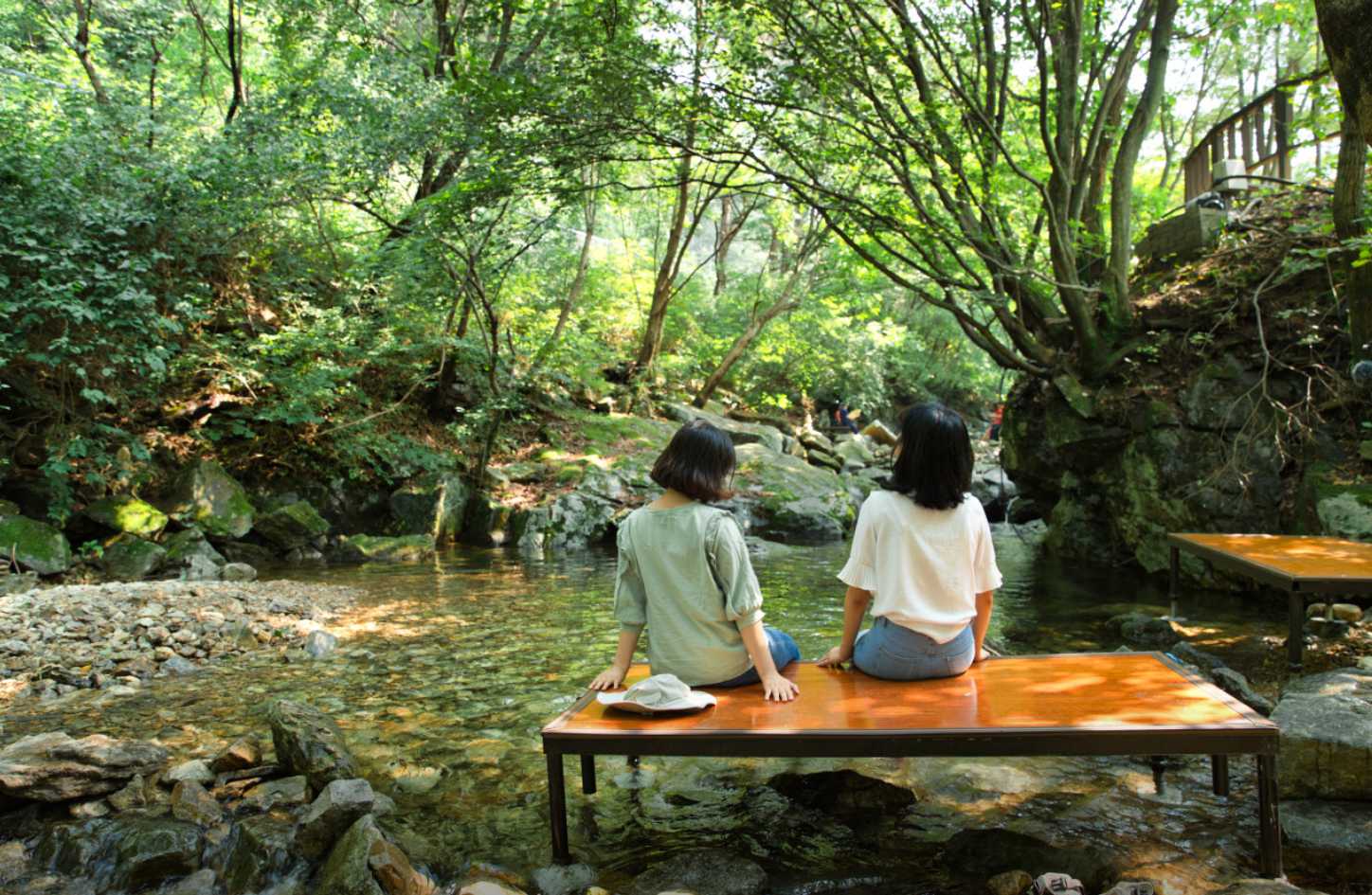 아침고요수목원