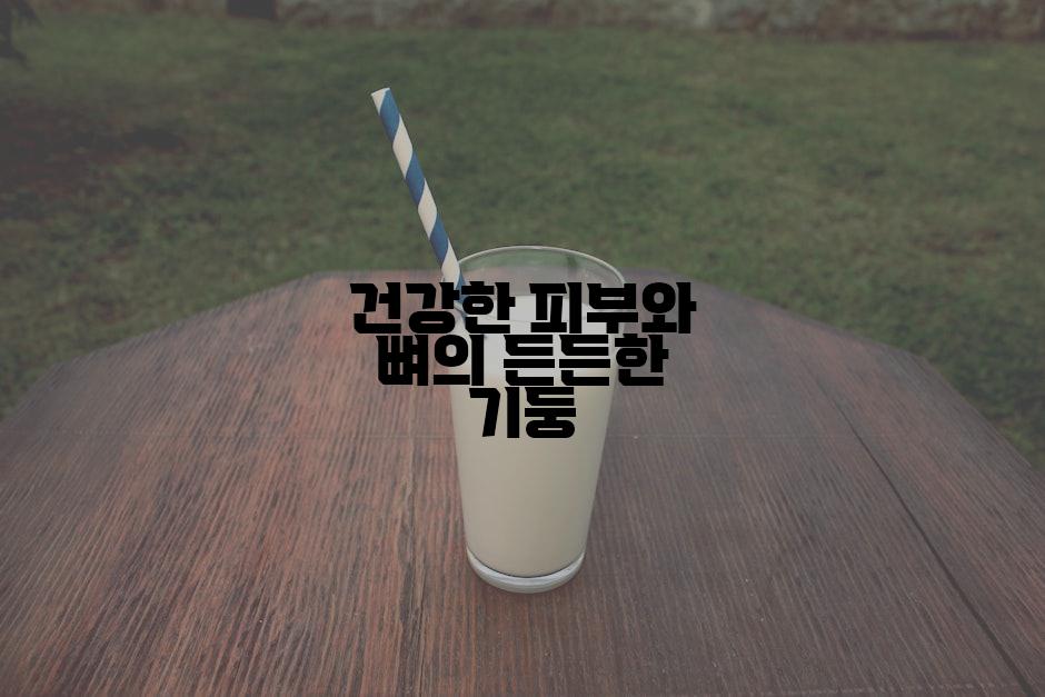 건강한 피부와 뼈의 든든한 기둥