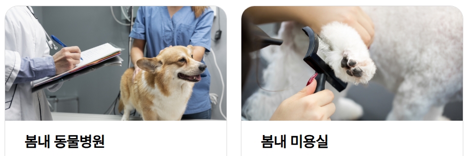 2025 춘천 반려동물 페스티벌 관련이미지