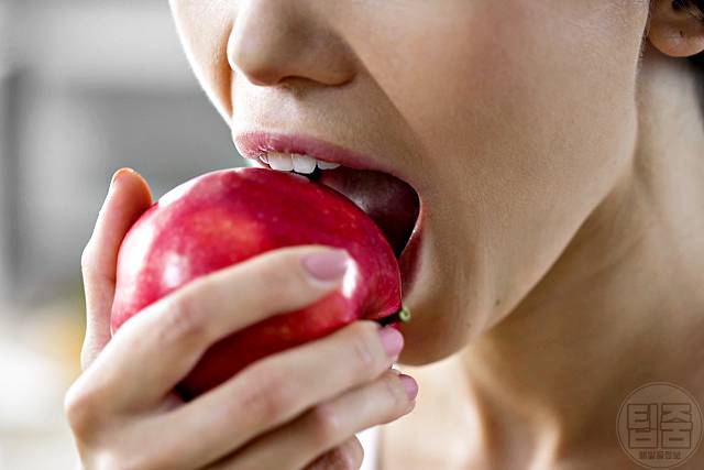 포만감 오래가는 음식 사과 포만감높은음식