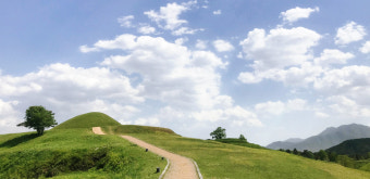 6시 내고향에 나온 함안 강변횟집&amp;#44; 정말 맛있을까?