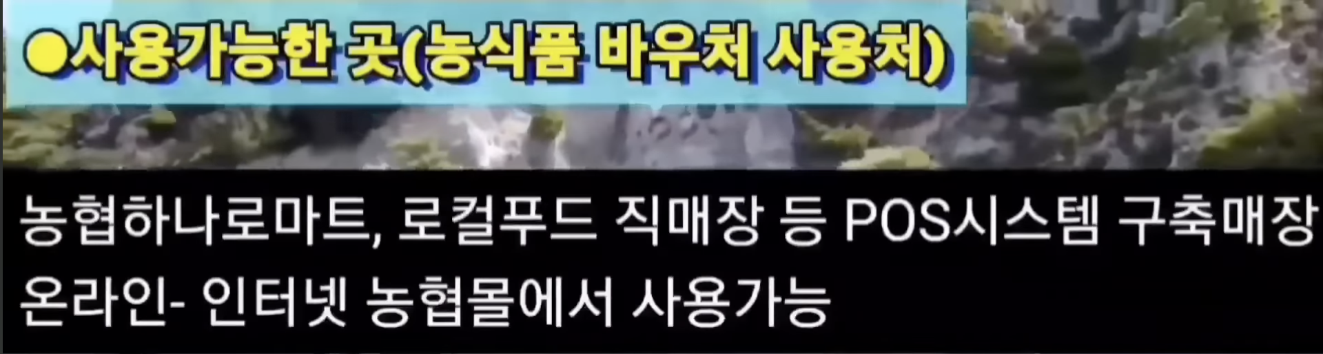 농식품바우처 사용 가능한곳