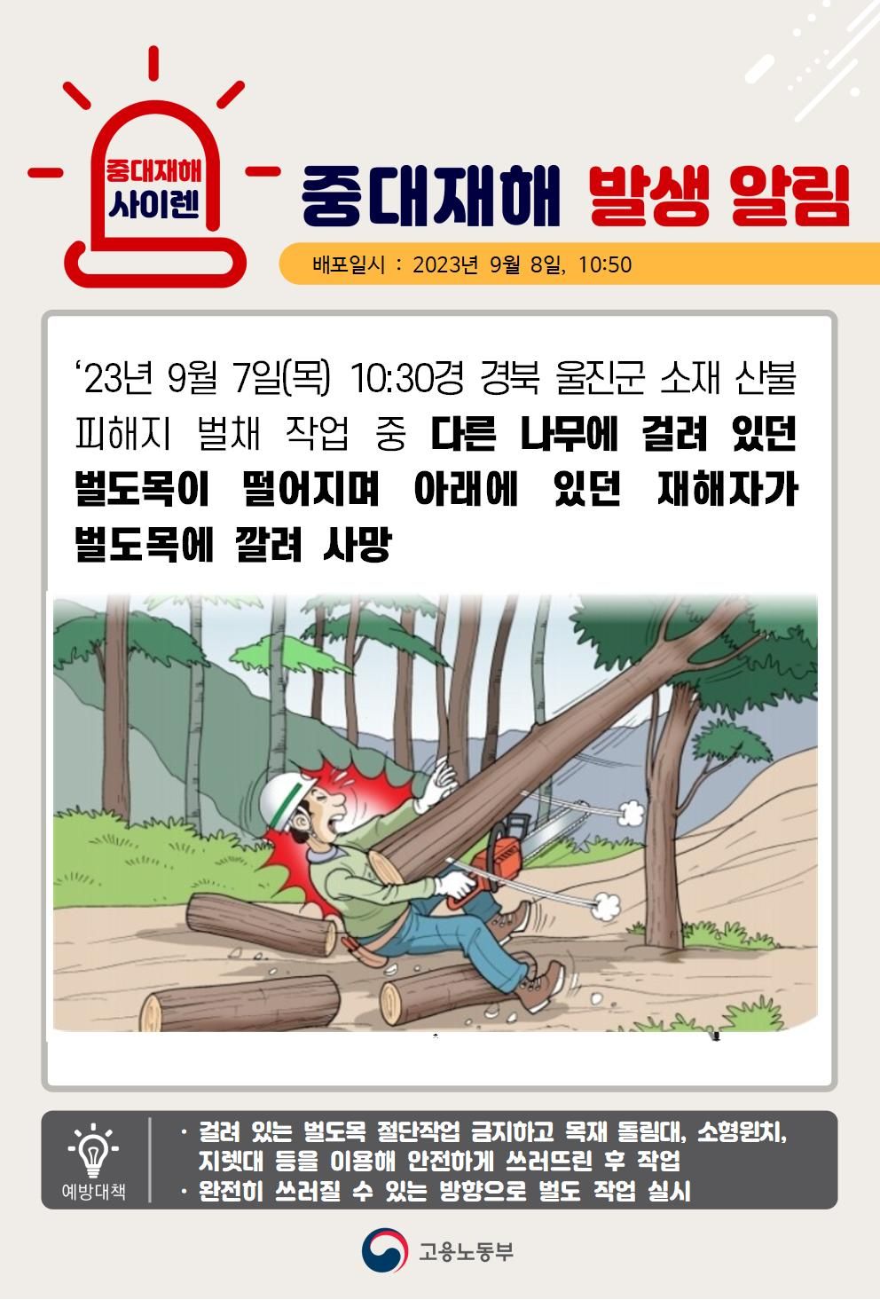 벌채 작업 중 벌도목이 떨어지며 깔림